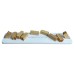 Educational Wooden Arch Bridge Model Kit, Miniature Arch Bridge Building Set, Arch Bridge Model for STEM Education, Leonardo Da Vinci Bridge